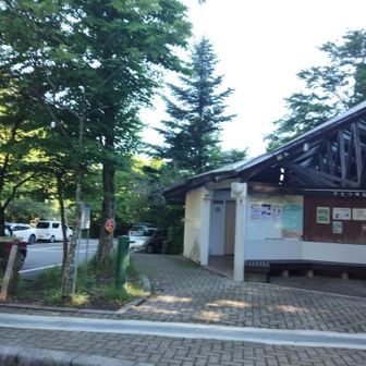 🚗まだ5台ぐらいしか停まってなかった