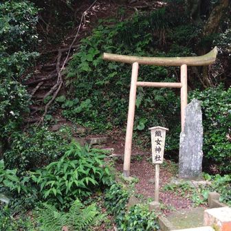 鳥居の左の急坂を登ったところに祠があってビックリ🫨
