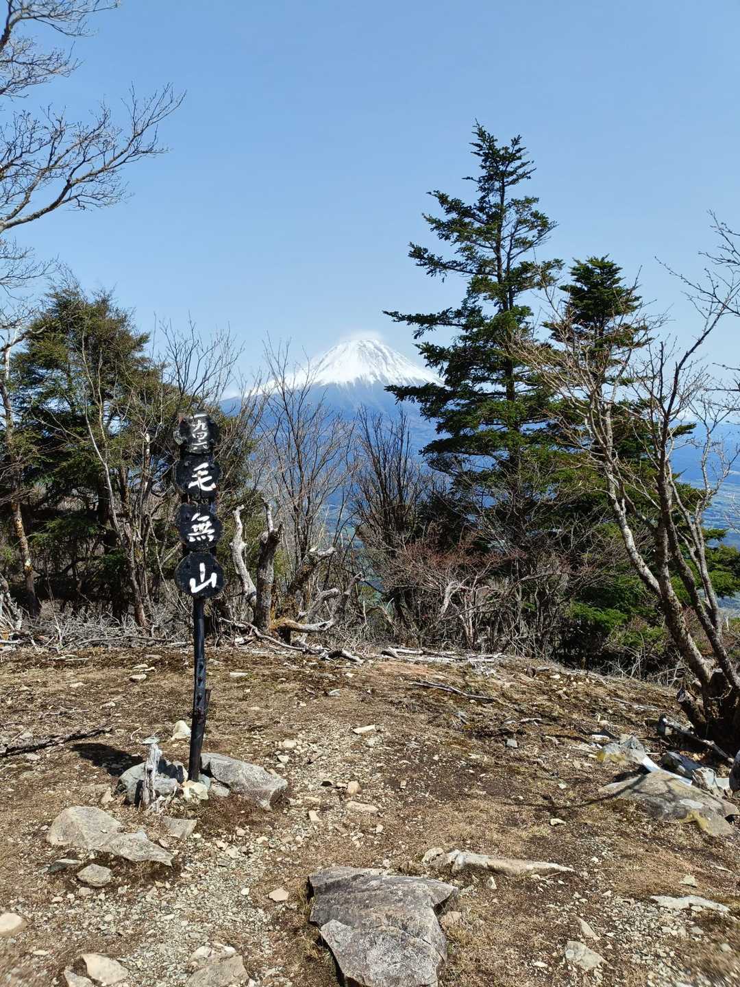 毛無山-タカデッキ-雨ヶ岳-端足峠 周回コースの写真