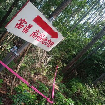 ここまで来れば山頂はもうすぐ💪