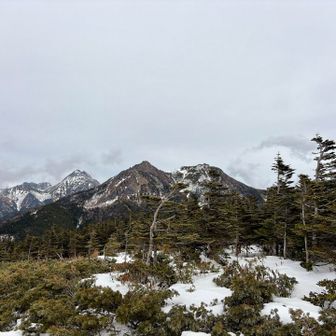 ギボシからの権現岳…遠いな〜💦
今から行くのはムリ〜