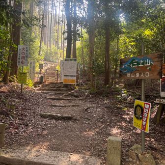 本日は、かなりの急登と聞く裏登山道で山頂目指します💪