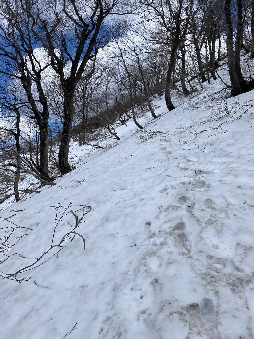 急斜面