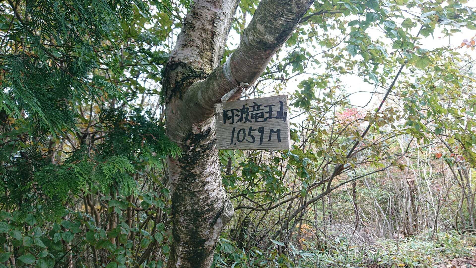 竜王山（阿波竜王）の写真