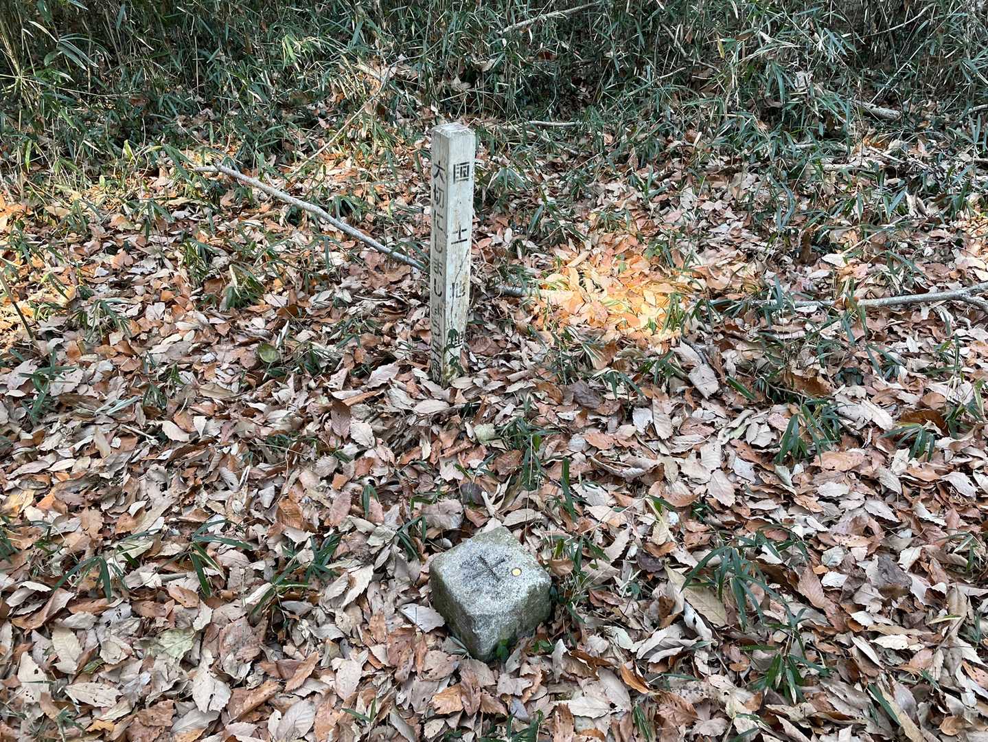 えっと、ここが…権現山かな？💦
一応！権現山山頂到着！