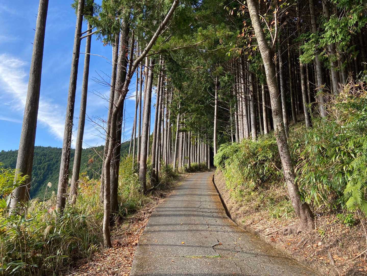 高根山 周回コースの写真