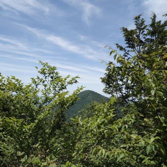 小持山方面から見た武甲山
削られてない自然な姿！
