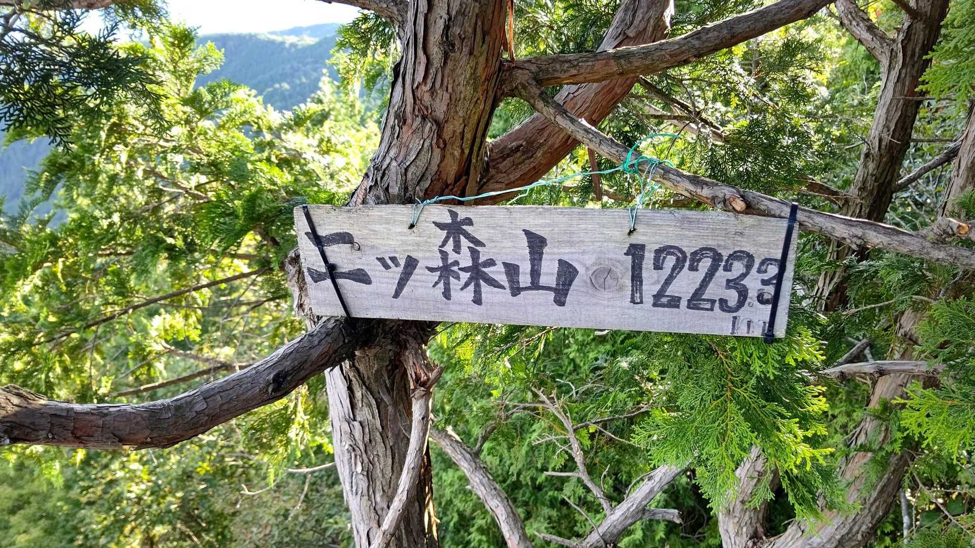 二ッ森山 周回コースの写真