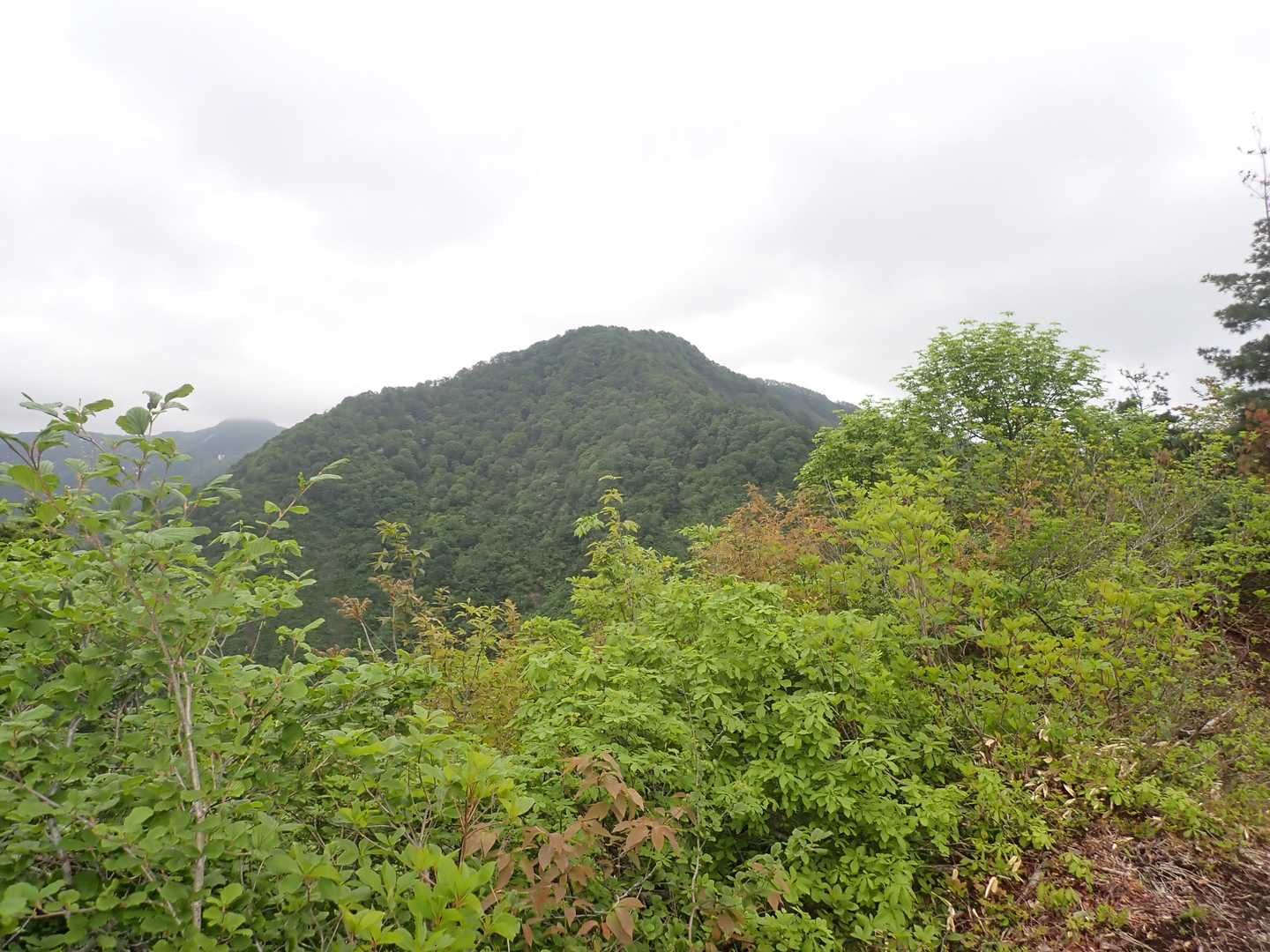 山頂見っけ🎵