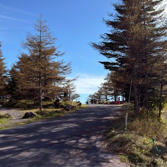 池の平まで降りてきた