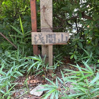 そしてグレーピーク獲得✌️