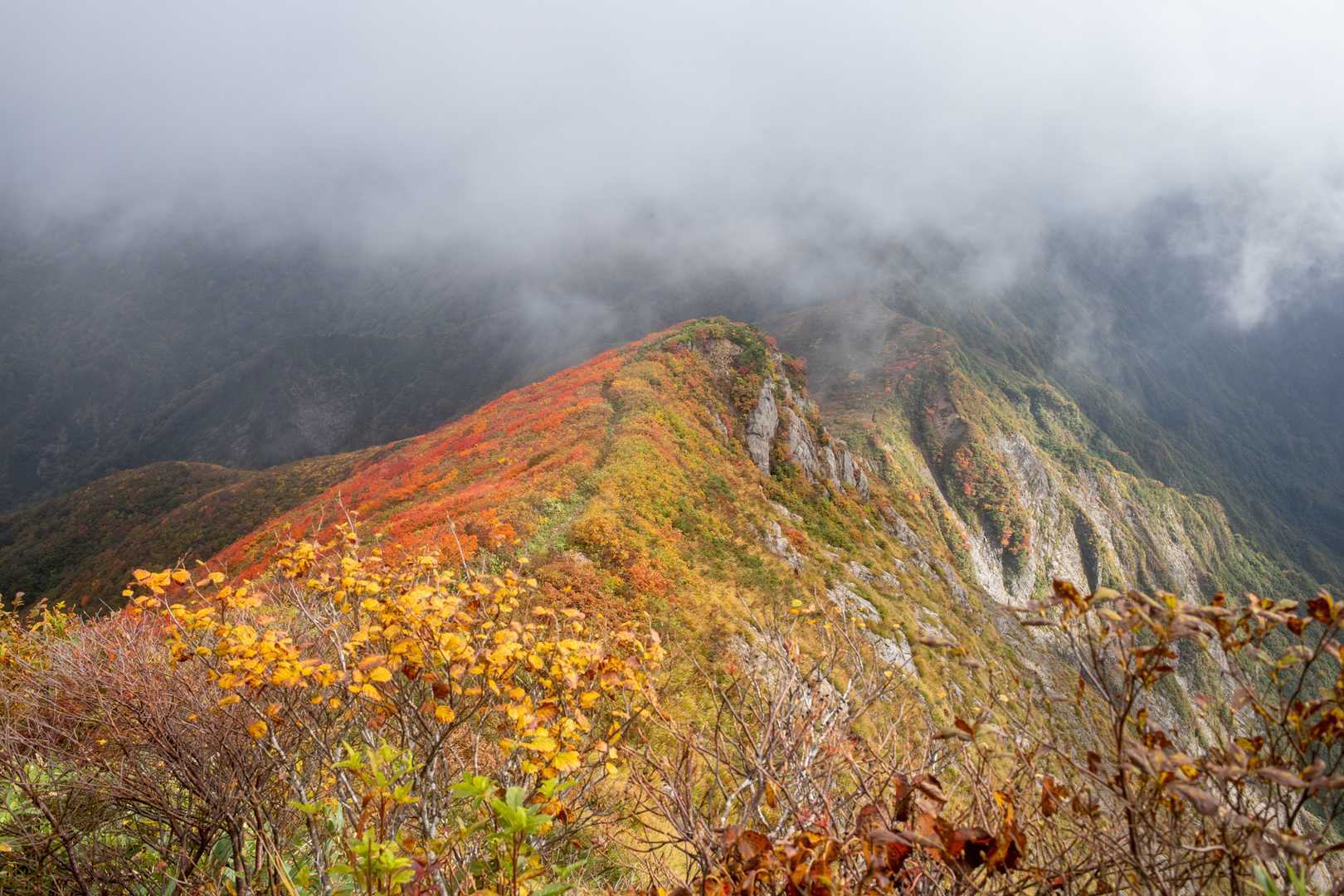 紫ナデ-小障子-障子ヶ岳-粟畑-天狗角力取山-焼峰 周回コースの写真