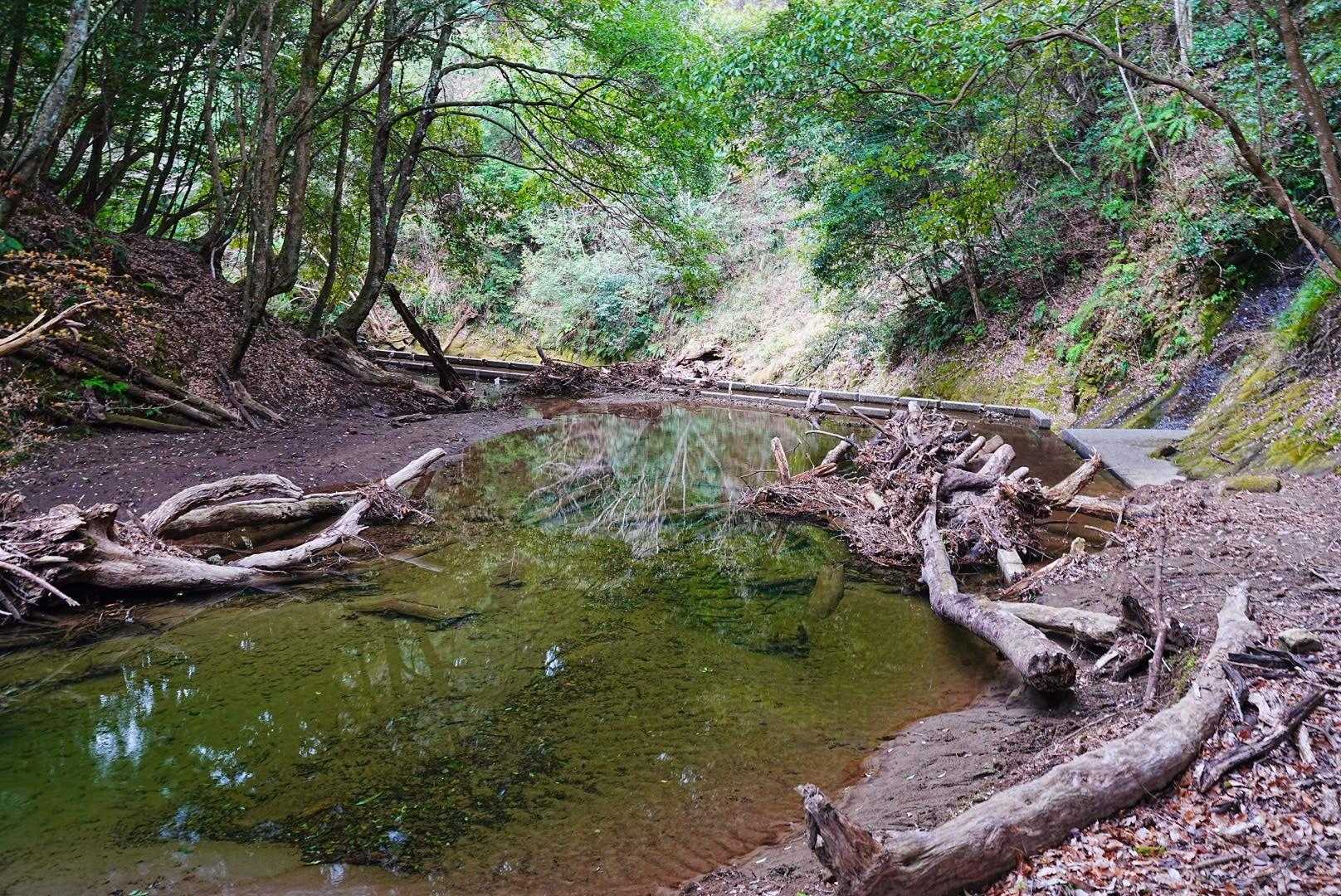 保台ダム-元清澄山登り口-元清澄山 周回コースの写真