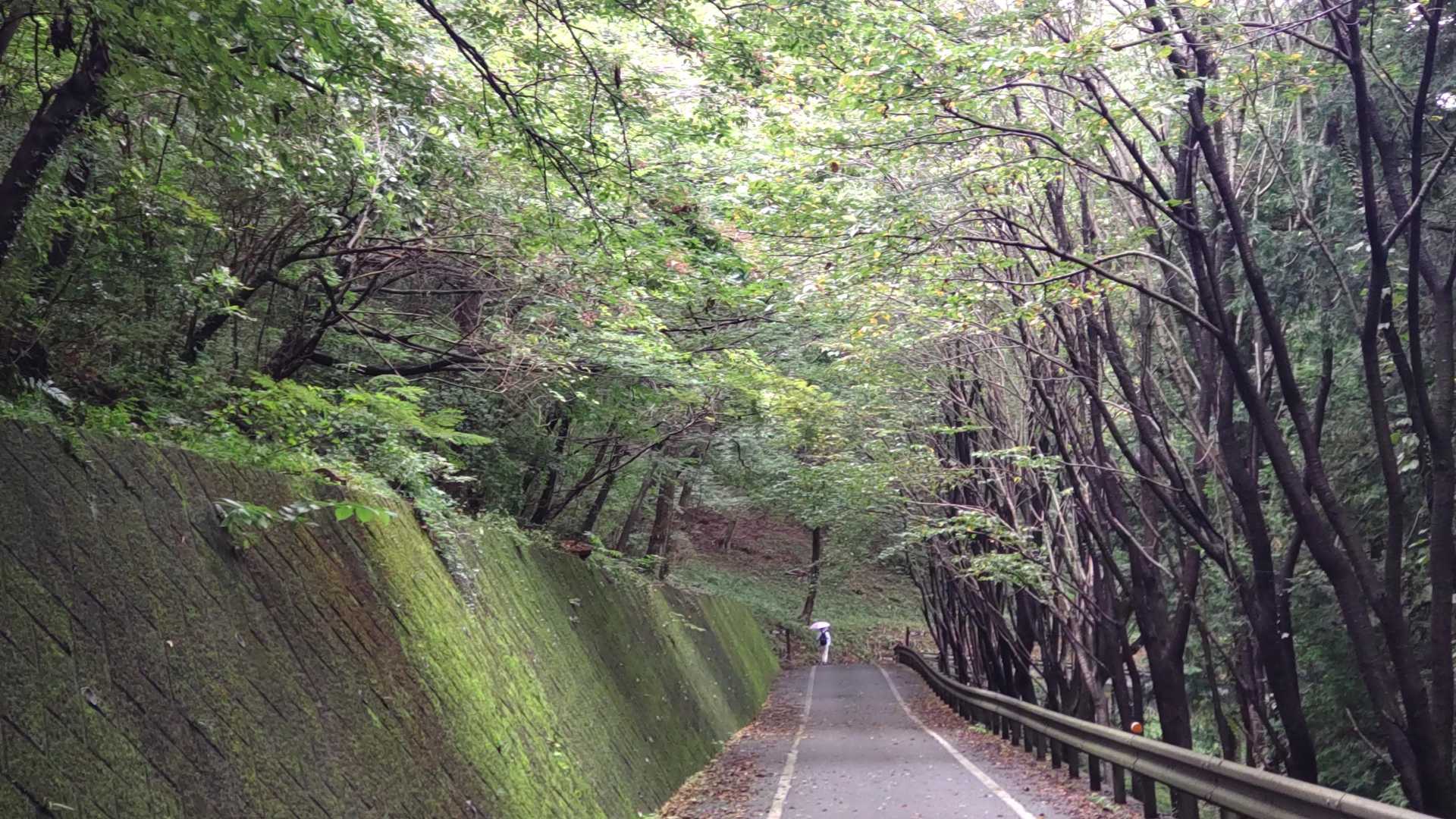 山頂中継広場 周回コースの写真