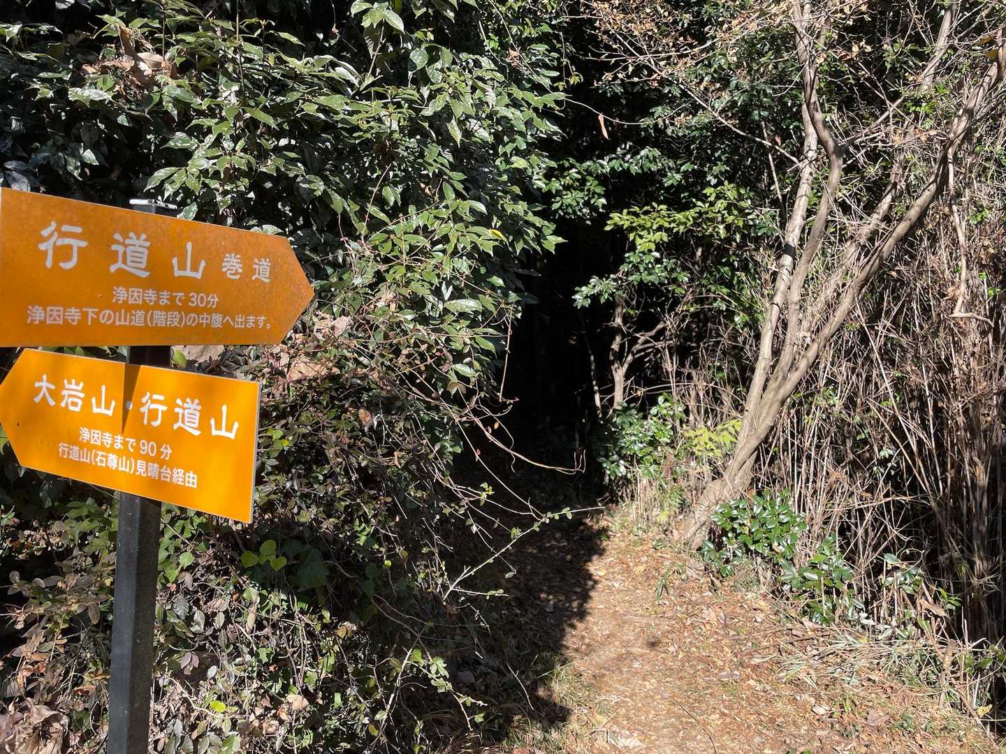 浄因寺まで30分の巻道と90分のルート
迷わず30分の巻道選びました😅