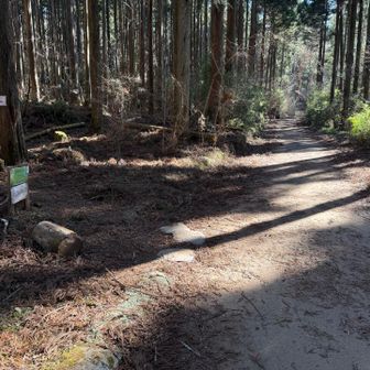 下ってきました