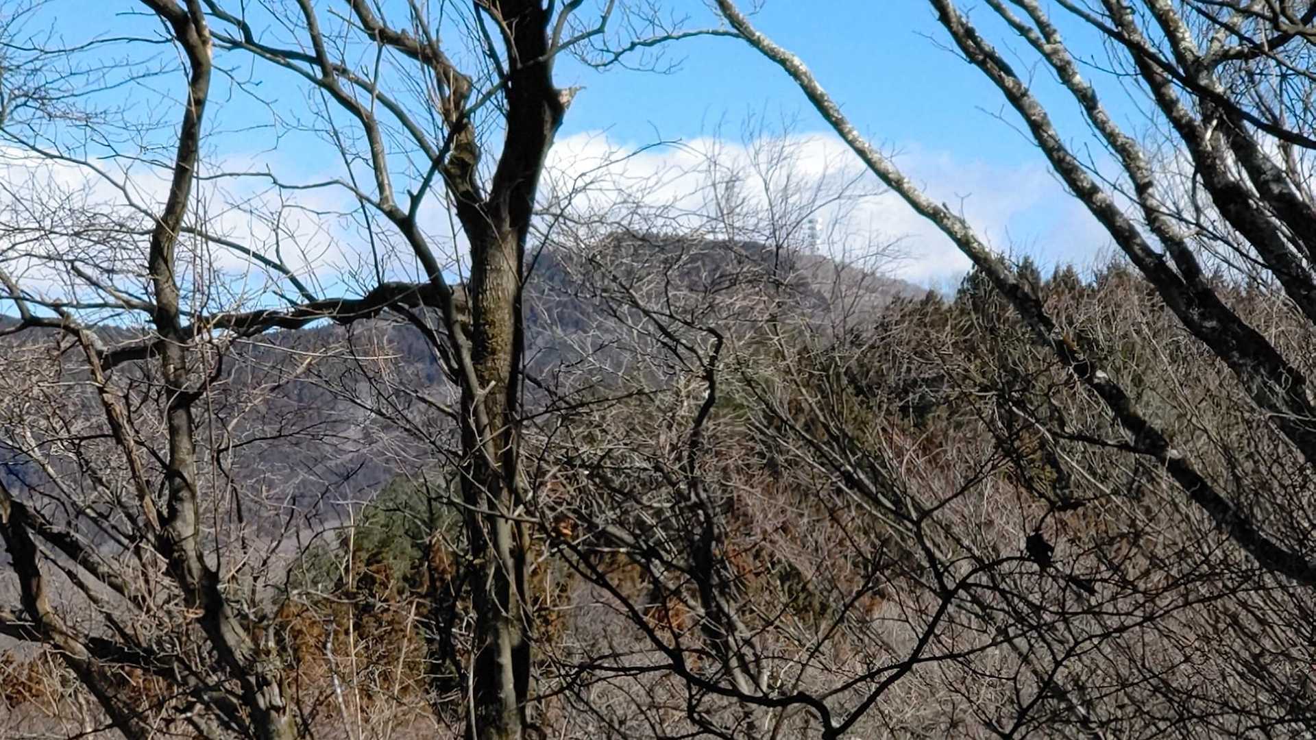 堂山ですかね🤔