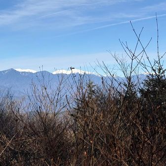 来年も南ア登りたいな