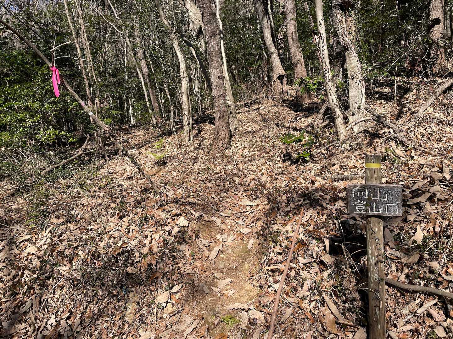 道向かいに登山口