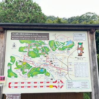 車で来て天覧山や多峯主山まで周回するなら市民会館あたりに停めた方がよいかな？