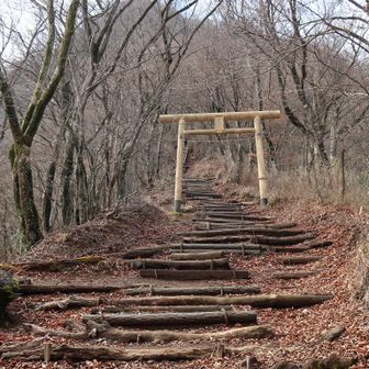 鳥居が現れた。なんとも神聖な感じだったのでクソポイント-1