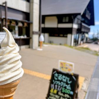 ご当地ソフトクリームを頬張りながら、ロープウェイ駅に向かい、