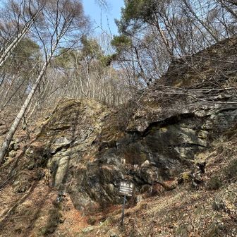この後は、滝のコースへ
こちらも、登りで利用をオススメします
下りだと、私だったら怖いです💦