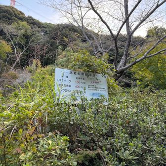 普通車は400円です