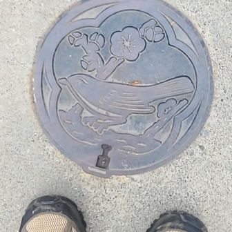 梅と鶯、青梅のマンホール。