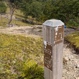 キャンプ場跡地。