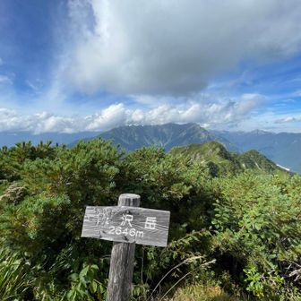 雲が増えてきました。