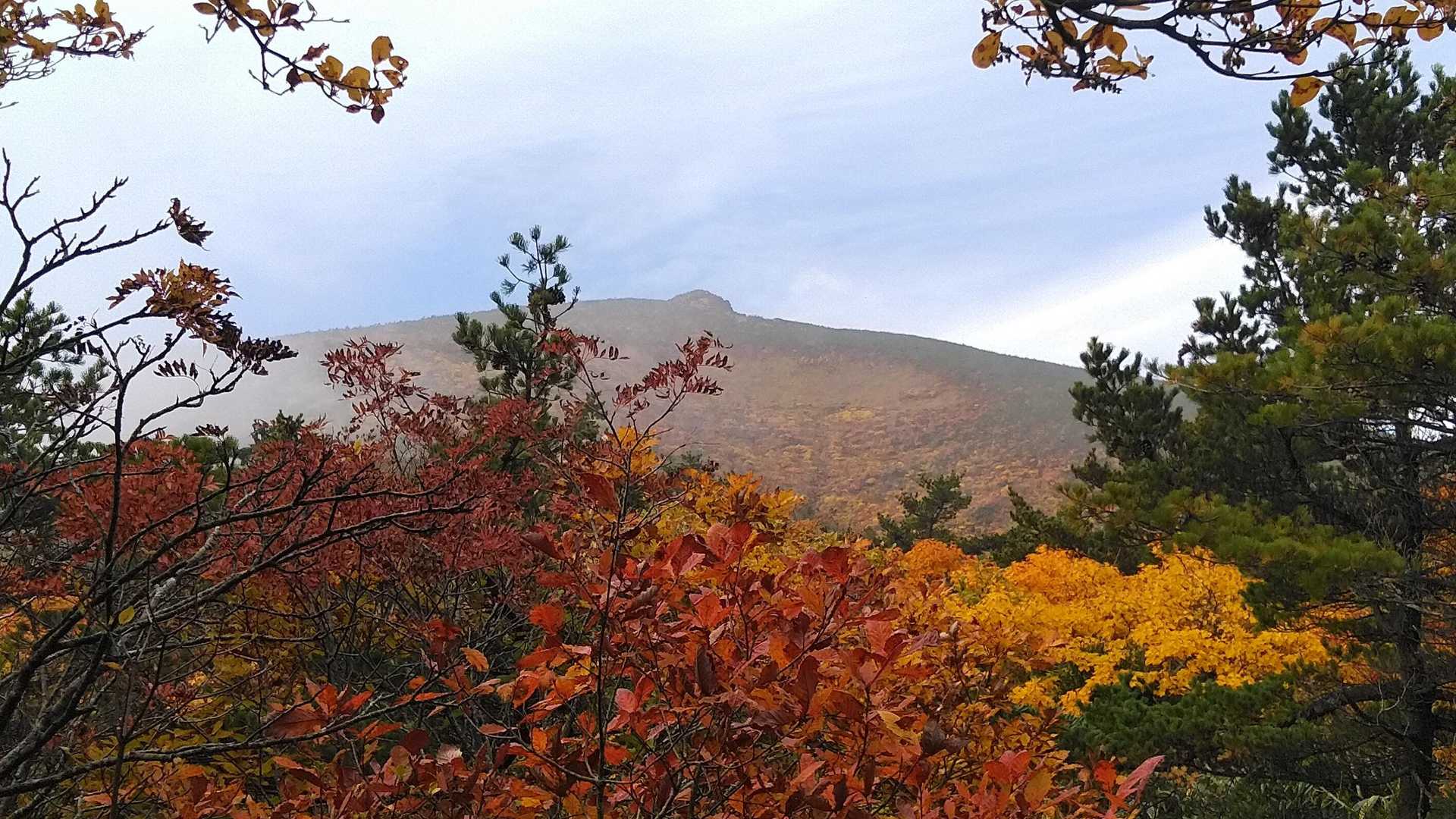 ガスが晴れて、色付いた安達太良山が眼前に見えた時の驚きの一枚。
