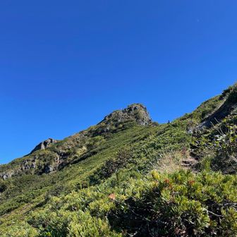 あのとんがりから降りてきました
一緒のタイミングで下山される女性も中央稜から下山されるということで心強かったです❤️‍🔥