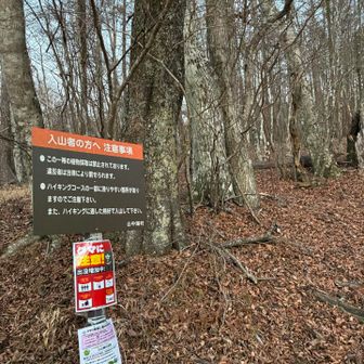 げっざ〜ん
気温2度　山中湖は標高1000mだよ