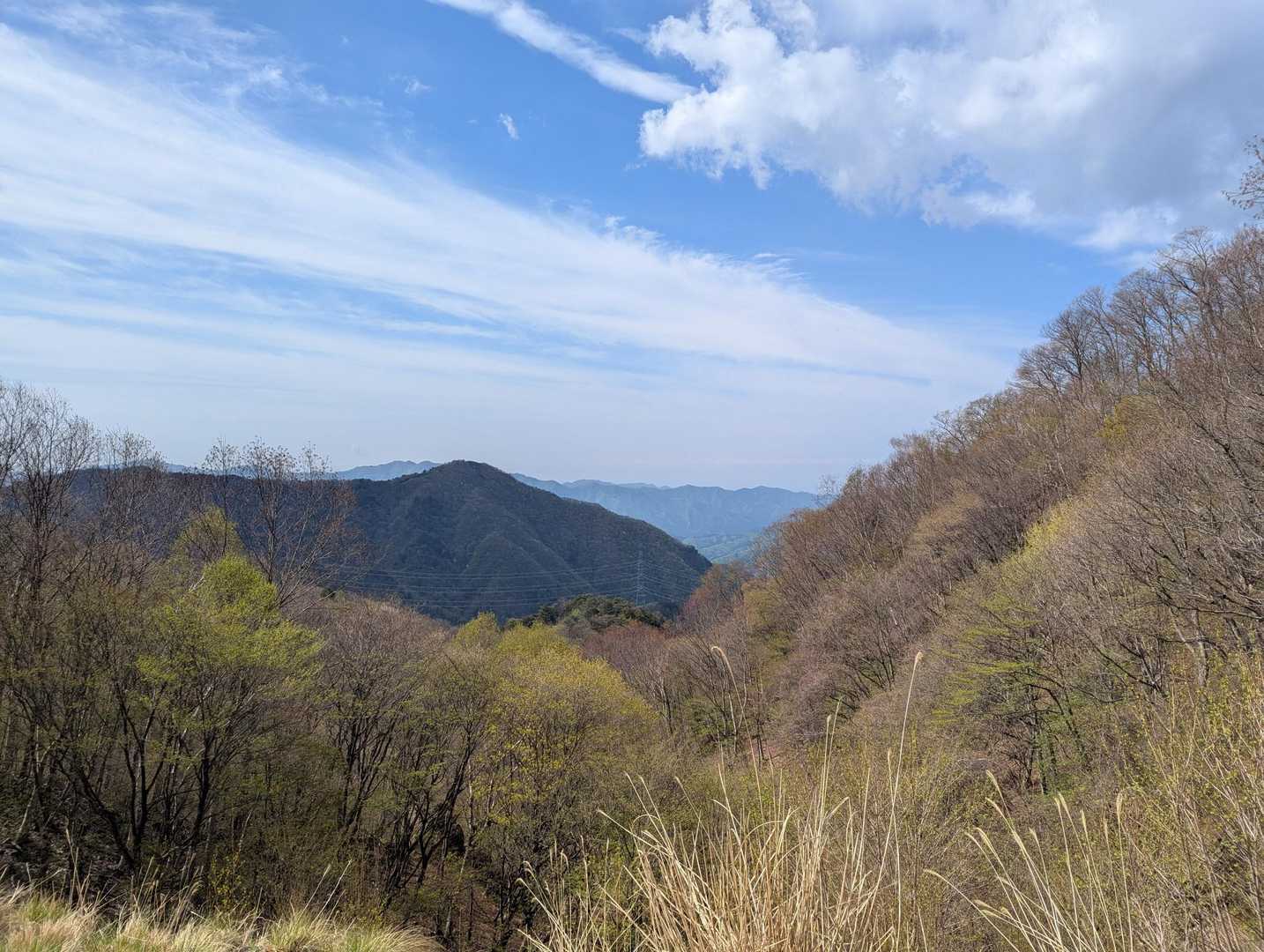 折場登山口-小丸山 往復コースの写真