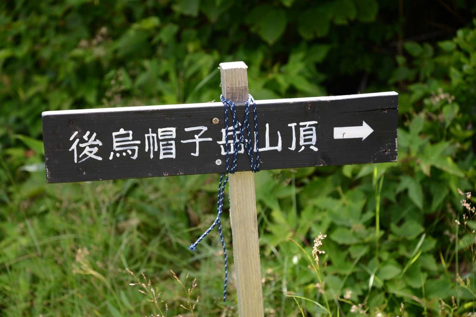 往路はこの道標が草むらに落ちてて迷いやすかったので、リーダーが細引きでくくりつけてました