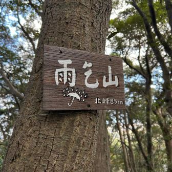 山標かわいい☔️