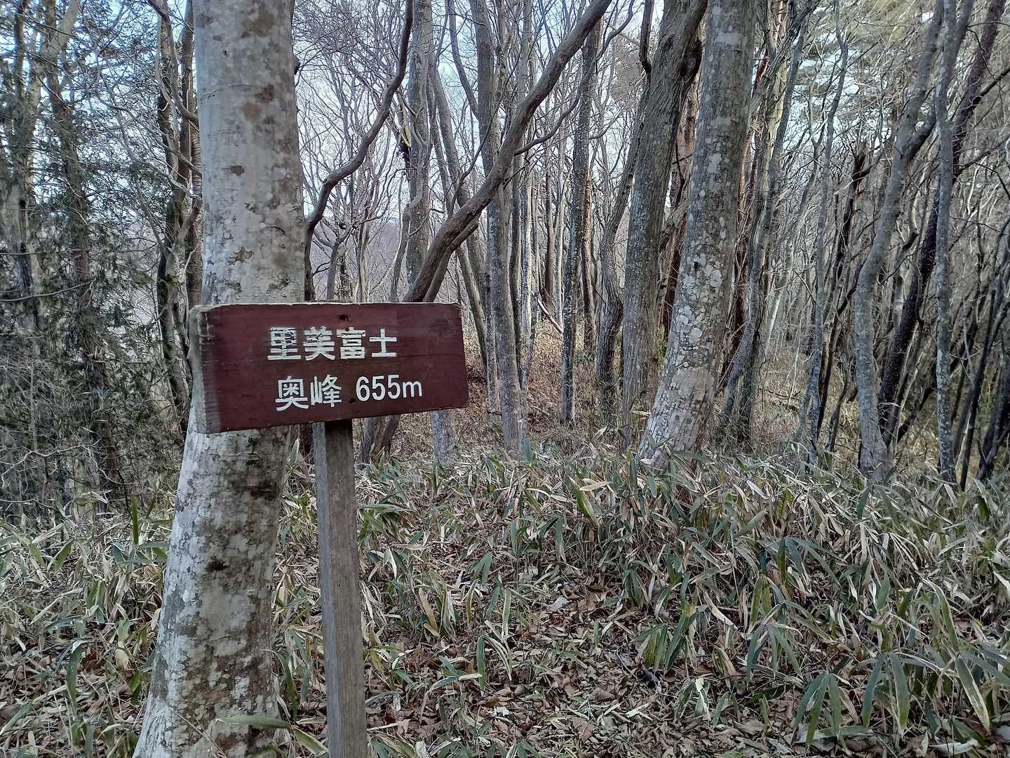 里美富士奥峰655m