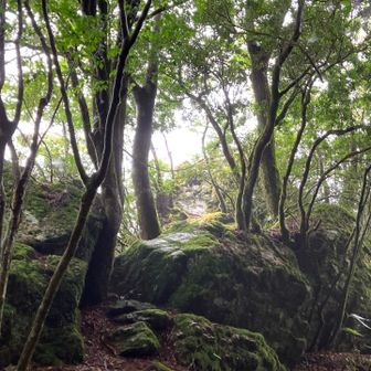 小天狗岩
天気のいい日に上がってみたいと思います。