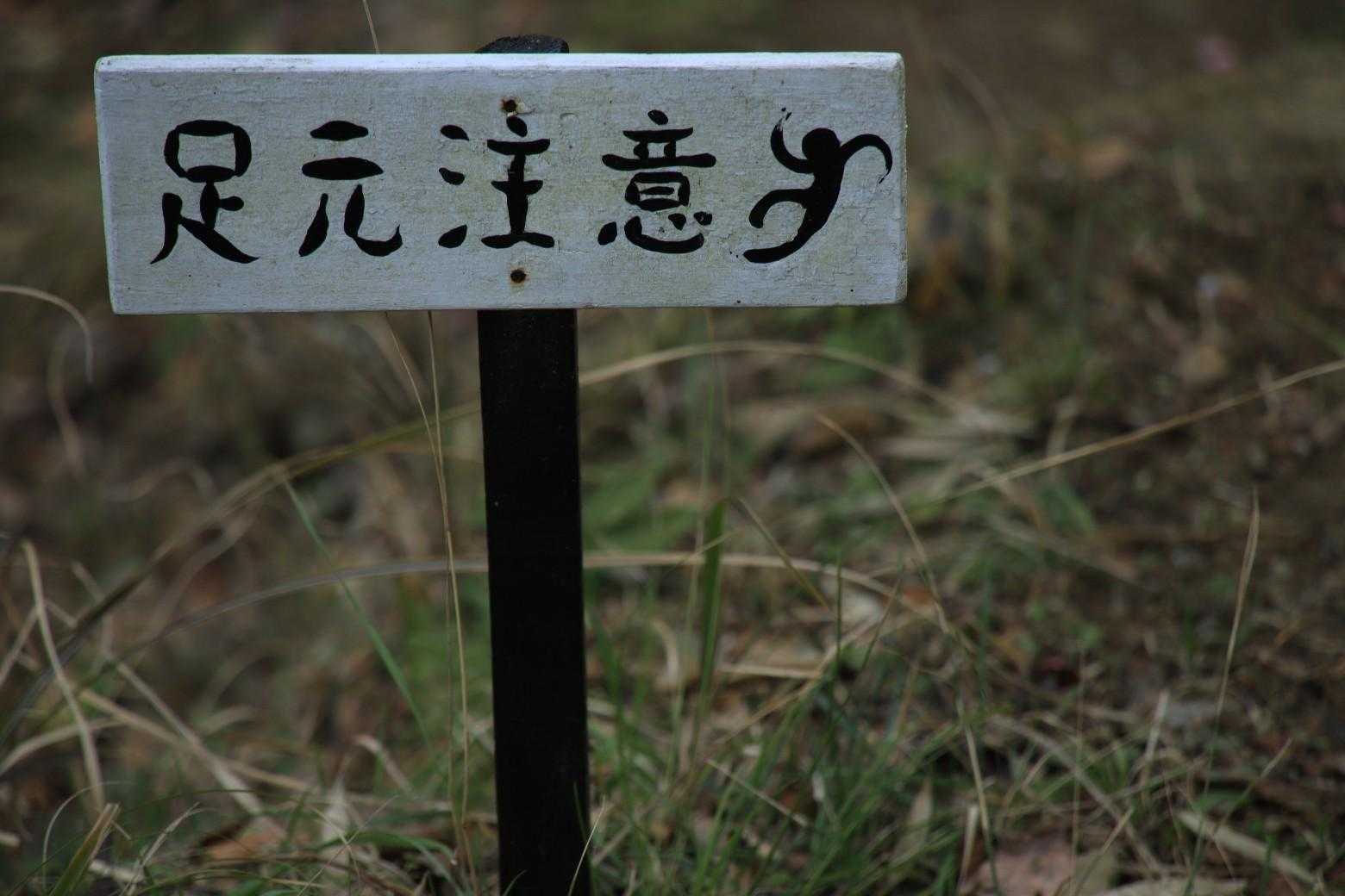 独特