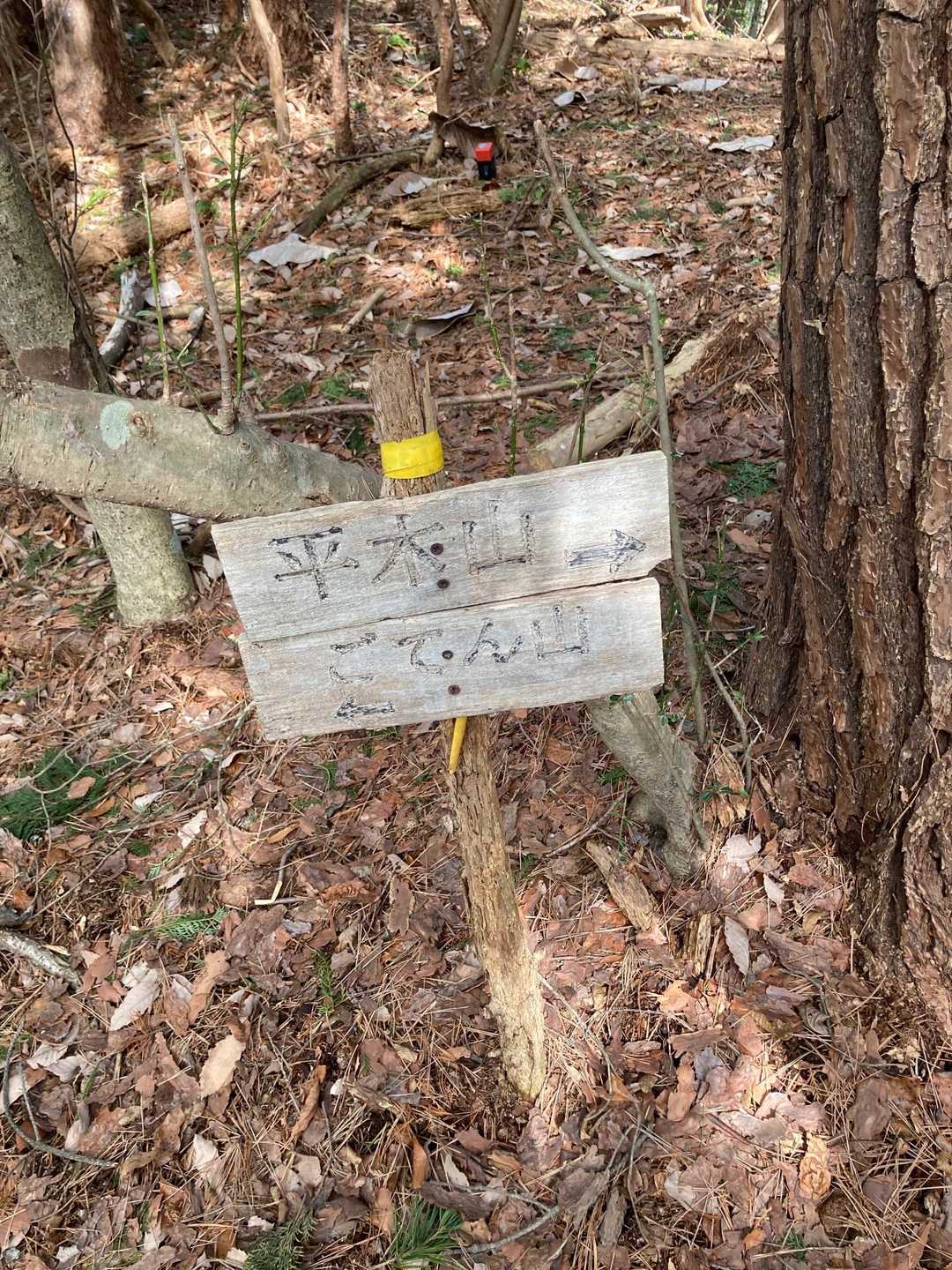 続いて平木山へ