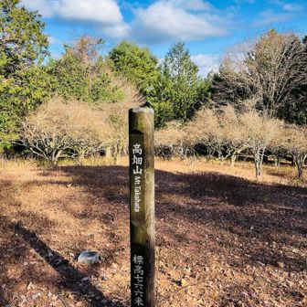 ゆったり広がる高畑山。ここでも食事休憩