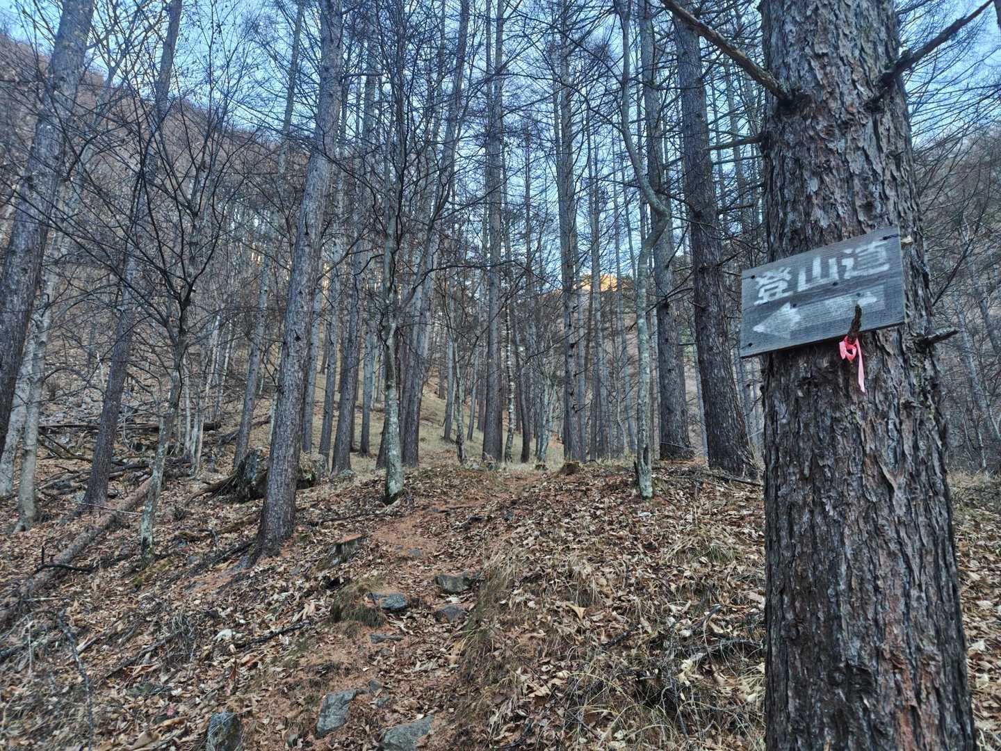 登山道の迷いやすいところにはこうして案内があって分かりやすい