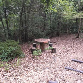縦走中ベンチ沢山