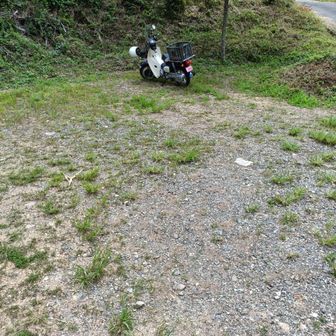 お待たせ〜