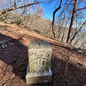 グレーピーク木山山頂、三角点しかなかった