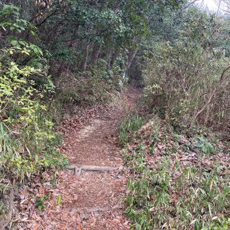 グリーンシャワーの森公園の駐車場に
車をとめいざスタートです