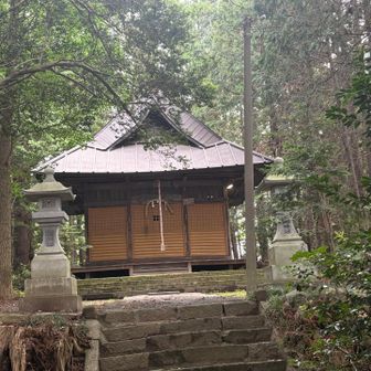 山頂に神社あり⛩️