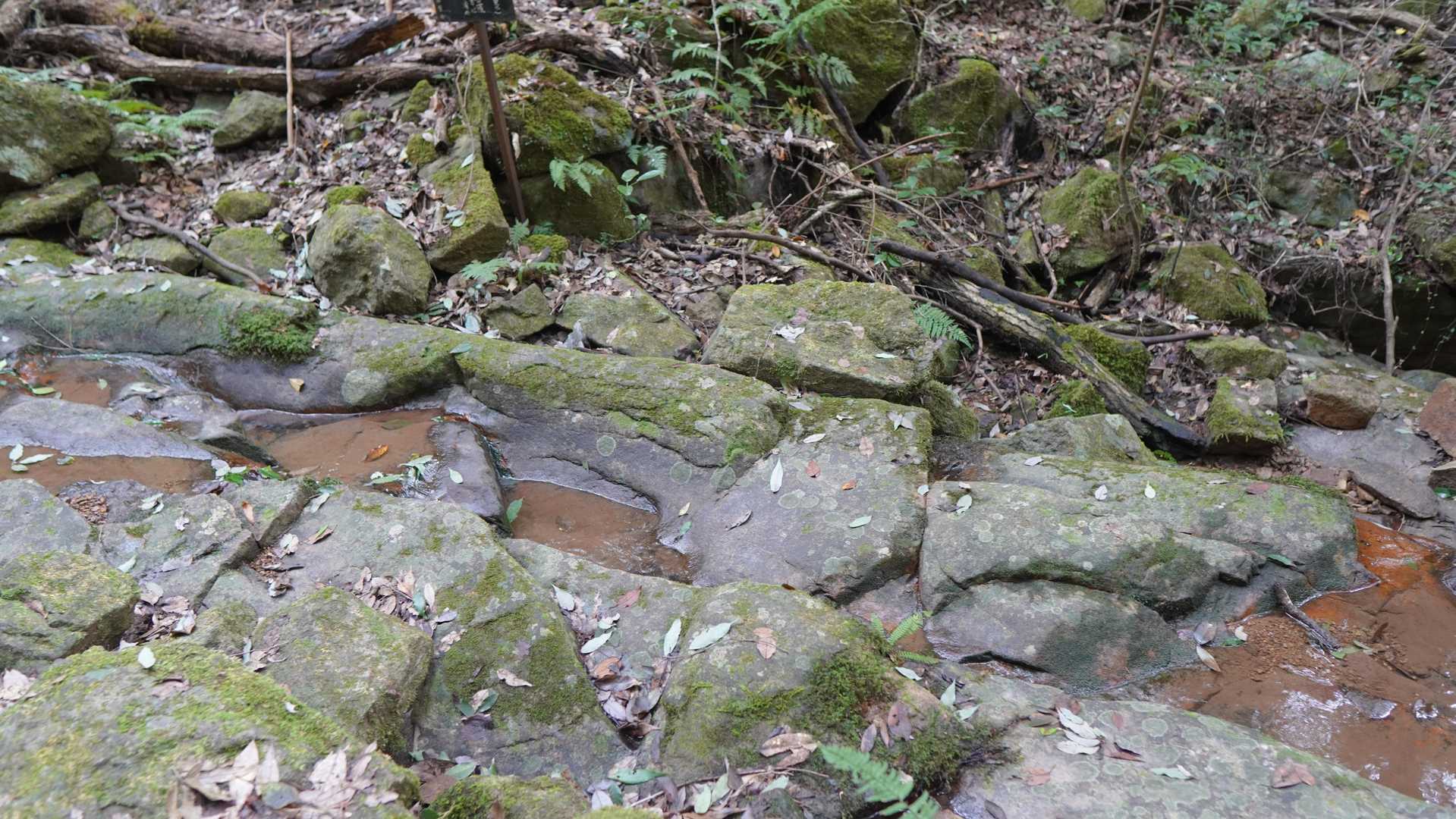 石船と呼ばれる場所。
ここの水で手を清めてくださいとのことです。