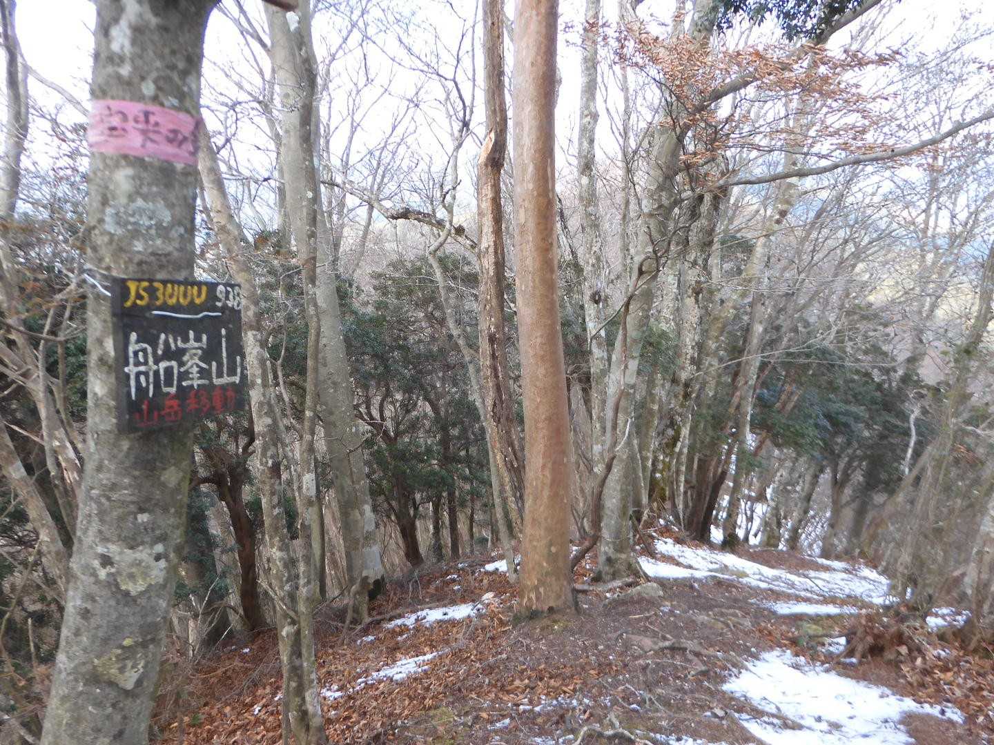 船峯山（ふなみねやま）
大天狗岩どこ？